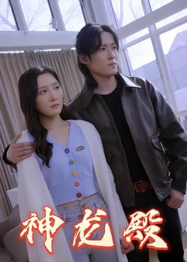 哪里可以看黑狐电视剧