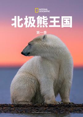 全能影视网在线观看
