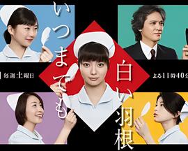 今天开始女生
