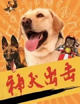 千金女佣中文版全集剧情