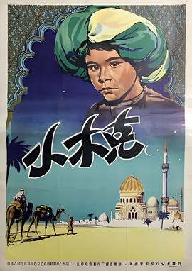 爱的代价电视剧