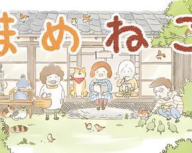 五星红旗迎风飘扬1和2的区别