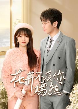 赖汉的幸福指数 电视剧演员表