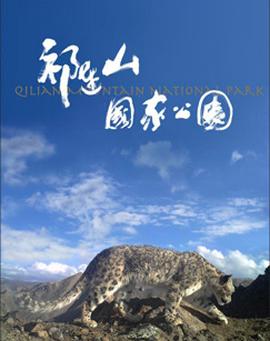 埃及艳后2在线观看