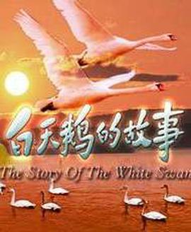 我能说在线观看韩剧