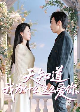 电影搜索讲的是什么故事