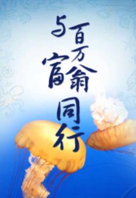 战旗剧情介绍电视猫