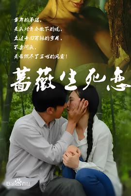 烈火金刚电视剧手机免费观看