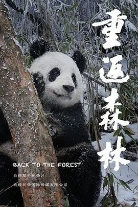 二炮手电视剧全集免费观看